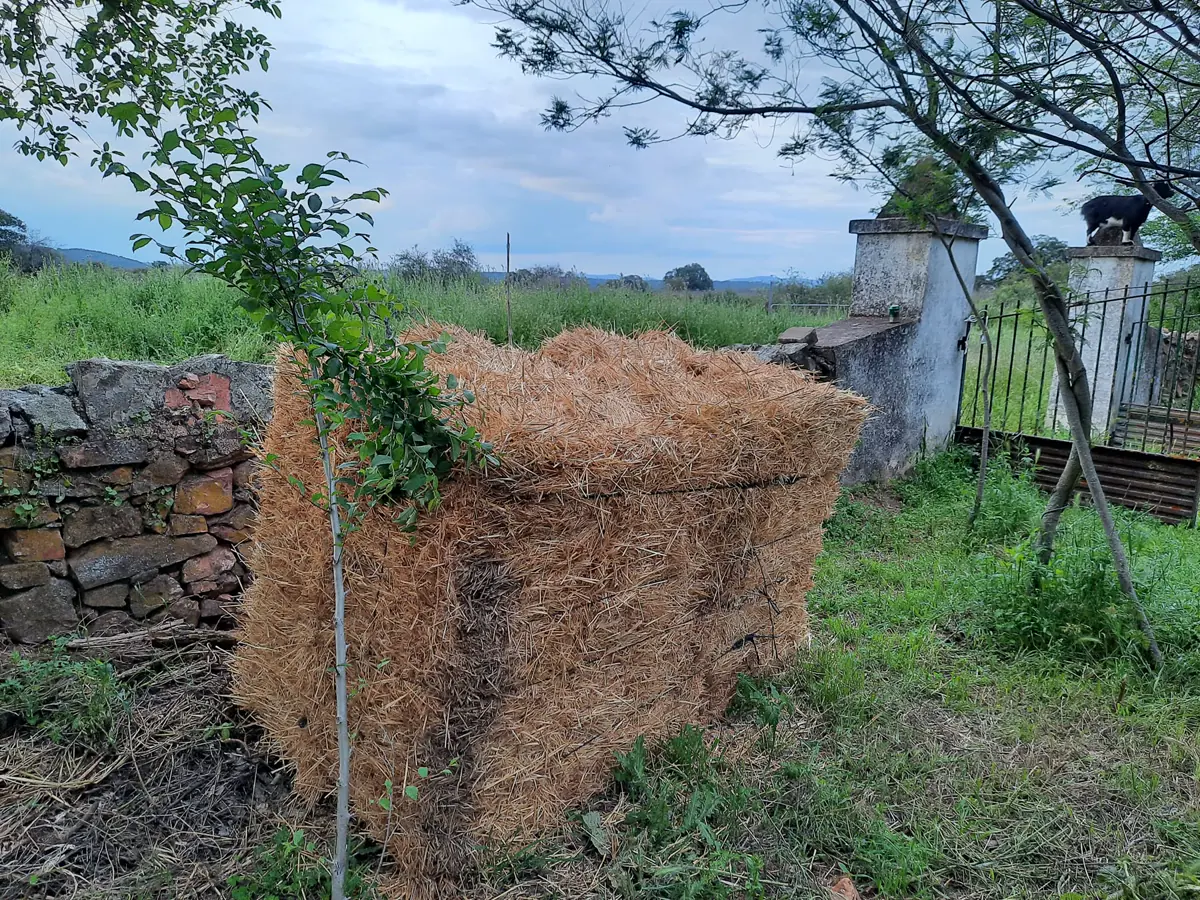 Trabajo en el terreno junto a una bala de paja.